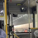 본  주짓수 유도 | <나에게 맞는 운동찾기 2기> 주짓수