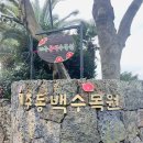 제주동백상회
