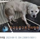 사단법인 한국동물구조관리협회 이미지