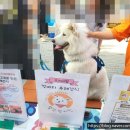 얌얌펫키친 이미지