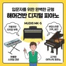 피아노와 반주(야간) | 입문용 전자피아노 추천 뮤디스 MK-5 해머건반 40W 스피커 가성비 비교
