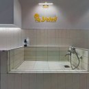 옐레드 애견유치원 애견호텔 하남미사점 이미지