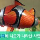 워킹피컴퍼니