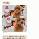 털빨충전중 이미지