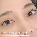 윤이네일 | 모란 속눈썸펌 '윤이네눈썹' N년째 내돈내산 재방문중인샵 추천