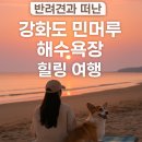GS25 석모민머루점 | 🏖️ 강아지랑 바다 보러 갈래요? 반려견과 떠난 강화도 민머루 해수욕장 힐링 여행