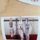 경산염소정육점