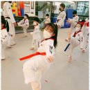 아리랑태권도 이미지