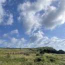 송우네민박 이미지