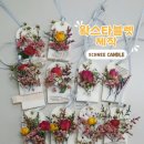 포항 YWCA 두 가지의 향기로 물들다, 플라워 &amp; 바다 왁스타블렛 출강 후기