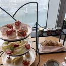 디자인팝호텔 | 부산 파크하얏트 호텔 라운지 애프터눈티 세트 딸기 시즌 메뉴 구성 및 후기