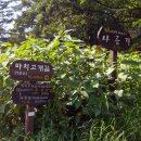 한고개길 이미지