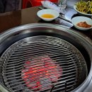 마포최대포숯불갈매기