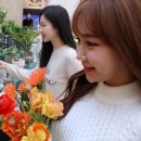 플라워by꽃;봄
