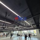 안성번지운동 번지피트니스 번지피지오 이샘크루 아양점 운동센터 재활운동 다이어트 키즈번지 성인번지...