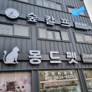 석전동583 | 마산 두피관리 숲칼프 마산점 두피스케일링 만족 후기