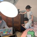 반려동물 방문 촬영 스튜디오 펫시즌 이용 후기
