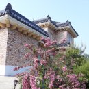 도랑골손맛