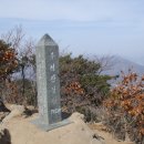 하사촌1 이미지