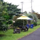 해라의성 이미지