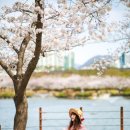 연지공원 이미지