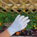 서울화외과의원 이미지