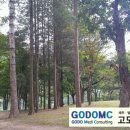 고도메디컨설팅