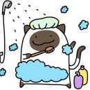목욕의 정석 이미지