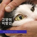 비타민 동물병원 이미지