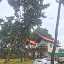 올게이츠1 이미지