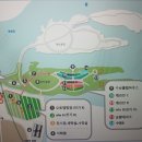 자라섬캠핑장 중도-1 이미지