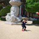 보광목장 이미지