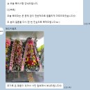 블랑벨르 | W07. [축의대] 메리지벨르 본식후기 (강추 후기)