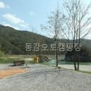 동강카써비스 | 동강오토캠핑장 동강변 위치가 먼저 보인 후기