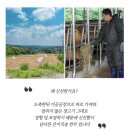 영주정육축산