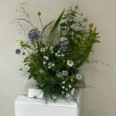 알리몰리 스튜디오(유) | w. 인물 중심 더앤드유스튜디오 웨딩촬영 후기(클라우디아 촬영 드레스)