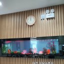 최재호마취통증의학과의원 이미지