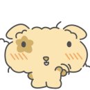 신동보성 이미지