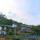 와촌목장 | [팔공산/와촌카페] 하말(HAMAL) : 대형 감성베이커리카페 후기 (애견동반가능)