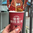 월화 | 강릉 중앙시장 먹거리 월화마라꼬치 솔직후기