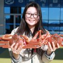 울진대게 이미지