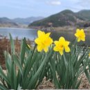 저수지목장 이미지