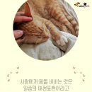 부비부비