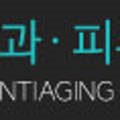 아름다울:연(娟) 이미지
