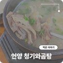 청기와곰탕 | 울산 언양 맛집 청기와곰탕 부드러운 고기와 깔끔한 국물의 매력