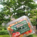 손별농장 이미지