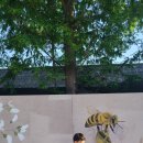 멱절길35번길 이미지