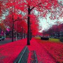 제이스헤어샵 - 보은군 | 제이스헤어샵