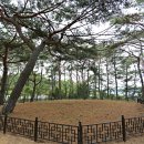 완도 수향사 목조관음보살좌상 이미지
