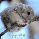 예나르공예박물관 네이버블로그